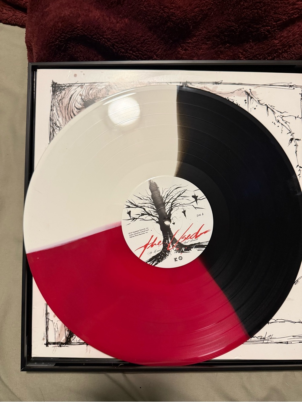 Tri-Color Split Vinyl The Used In Love and Death Limited to 1500